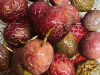 2、雪梨百香果水果茶,沥干水份。