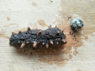 4、海参海木耳汤,海参洗净，去牙嘴。