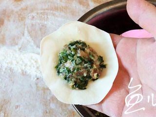 18、冬至美食 猪肉荠菜水饺,面皮上放馅