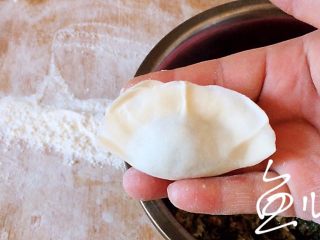 19、冬至美食 猪肉荠菜水饺,包成喜欢的饺子形状