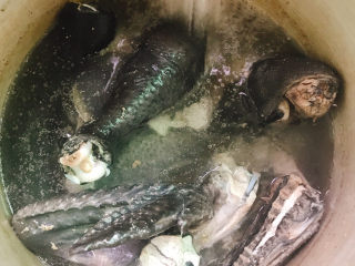 3、银耳元肉乌鸡汤,焯水几分钟