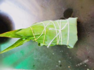 11、五花肉粽,用左手手虎口处把住粽子底部及中间部分，再用多余的粽叶覆盖住糯米，捏紧、缠上绳子，绑好