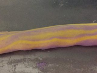 10、彩色水果馅汤圆,两个颜色 分别搓成条 然后撮合在一起 后对折一次 在搓成长条 看看花色 是这样了就可以了