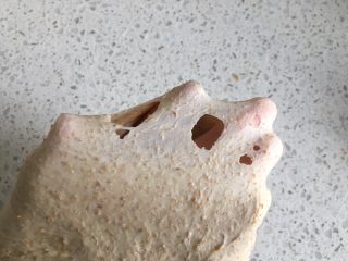 5、黄桃全麦披萨,揉到面团可以拉出会破的膜即可