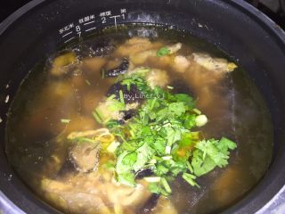 14、花胶炖鸽滋补汤,加入切好的香菜调味即可