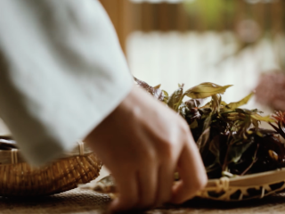 1、【谷雨·香椿鱼儿】谷雨落时,一口香椿一口茶,香椿芽去根,处理成均匀的小棵;