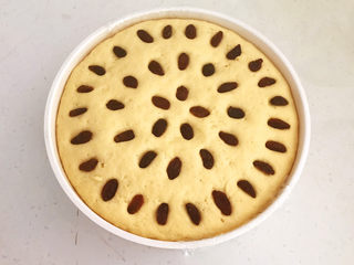 16、小米发糕,在小米面上均匀的摆上葡萄干