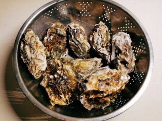 1、清蒸生蚝,新鲜的生蚝