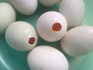 9、咸蛋肉粽,把蛋白都倒掉，只留蛋黄在里面。