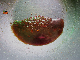 8、居酒屋必备的照烧鸡肉串,在煎鸡油的锅中放入生抽，老抽，冰糖，黄酒，水小火烧开