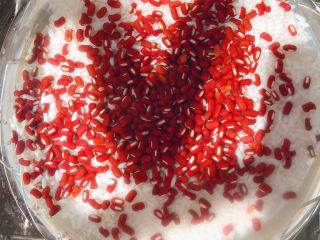 5、红豆粽子,放入糯米中一起浸泡