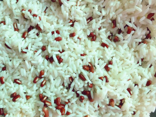 6、红豆粽子,浸泡好的糯米和赤小豆