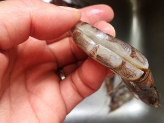 3、泰式甜辣虾,先把虾开背，挑出泥筋