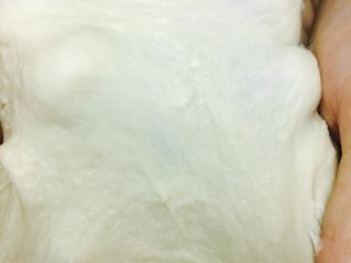 3、土豆沙拉包,我就拉出这样的厚膜，如果亲不是用厨师机，用和面机就更简单了，和面15分钟后加入黄油再和面20分钟即可。都没有这些机器的话????只能手揉和面了…那会累哦！