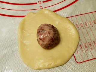 14、酥香的玫瑰花饼,包入玫瑰花馅，像包包子一样收口，团圆