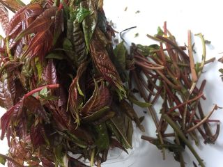 2、香椿炒鸡蛋,香椿头去掉杆子，留下比较鲜嫩的叶子