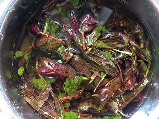 3、香椿炒鸡蛋,香椿清洗干净