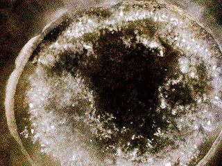 1、意大利面原来可以这样做，简单、营养、美味,锅中加水，烧开后加入一勺盐、一勺橄榄油，可以让面的质地更紧实有弹性。