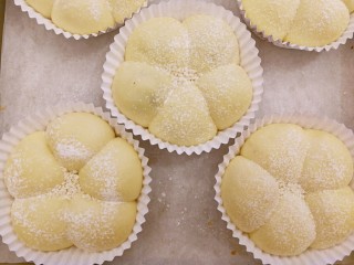 28、五福临门～一个面包五种口感,发酵好的样子