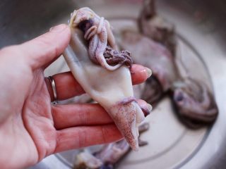 3、荷兰豆笔管蛸小炒,把笔管蛸去除内脏后，再把笔管蛸的外皮用手撕下来。