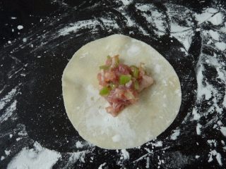 6、苦瓜饺子,放入肉馅把饺子皮对折中间先捏合