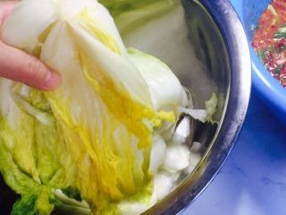 14、韩式辣白菜（辣酱调制）,白菜腌制出水分后，试试盐味，在挤干水分！