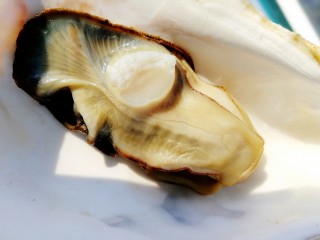 15、清蒸生蚝,冲洗一下生蚝和壳里面的黑色物。