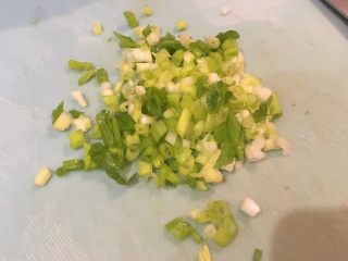 9、日式豆腐排,葱切葱花