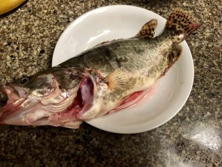 2、#年年有鱼#桃花流水鳜鱼肥➕家常清蒸鳜鱼,把鱼收拾干净,刮鳞去腮开膛破肚????。