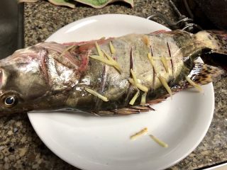 7、#年年有鱼#桃花流水鳜鱼肥➕家常清蒸鳜鱼,在盘底,鱼身,鱼肚子里都塞上少许姜丝