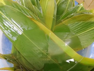 6、杂豆蜜枣小米粽,新鲜的粽叶提前清洗几次，然后用开水烫一下