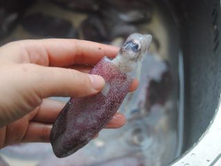 1、沙茶鱿鱼,鱿鱼买回来洗净去掉表皮