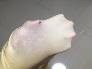 7、日式牛奶面包卷,揉到可以拉出手套膜，停止揉面