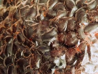 3、????五彩红豆粽子????,红豆我买的成袋的吃不完可以冷藏包豆包