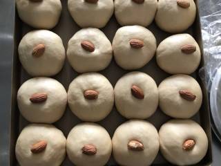10、红糖杏仁豆沙餐包,排列好后  每个餐包上面放一个杏仁 记得按进去 否则二发时杏仁会掉下来