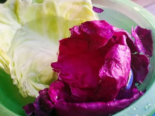 5、百变鸡蛋～牛油果焗蛋,圆白菜紫甘蓝冲洗干净