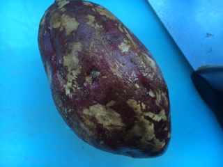 1、#家有烤箱#蛋奶芝士烤甜薯,红薯一个清洗干净，长的丑但是很甜，哈哈