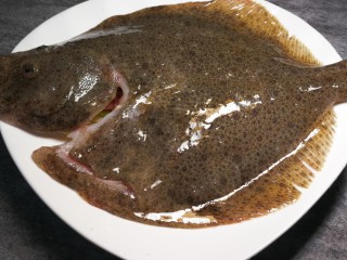 7、清蒸多宝鱼,摆放在葱姜段上