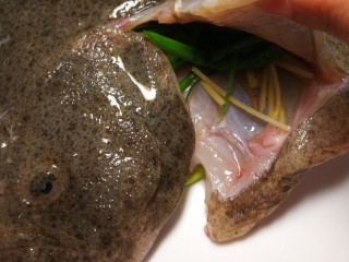 8、清蒸多宝鱼,在腹部内也加些葱姜