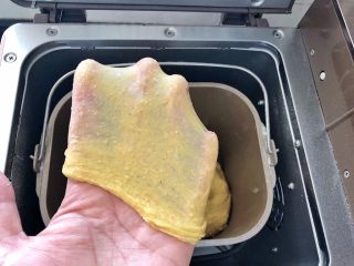 7、中种胡萝卜吐司,继续揉至扩展阶段。