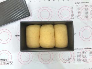 16、中种胡萝卜吐司,发酵至7分满模,盖上盖子。