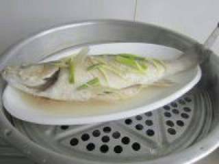 7、清蒸鲈鱼,把蒸好的鲈鱼取出