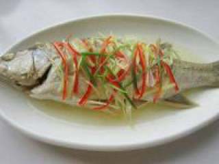 9、清蒸鲈鱼,热锅凉油，油烧到10成热，把热油浇在鲈鱼上面