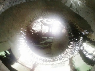 7、秘制酸萝卜老鸭汤,锅里加入少许的植物油，因为鸭子本身会出油，放一点点就可以了！