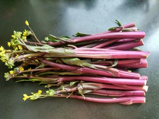 14、#厨房挑战 #荤菜：照烧鸡腿+素菜：酸辣红菜苔,准备好菜苔。