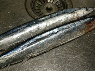 2、鹽巴燒烤秋刀魚,秋刀魚沒鱗？不！他有！藍色那個就是！洗乾淨。