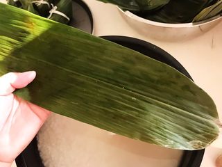 8、家常原味粽子,取一片粽叶