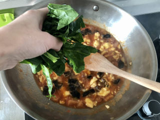 26、西红柿鸡蛋拌面,下菠菜