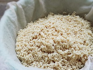 3、古法特制、天然植物碱水粽,泡好的糯米沥干水。