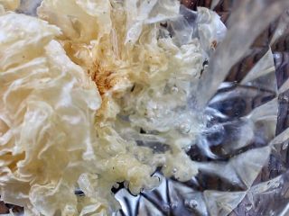 3、牛奶杏仁银耳,银耳放入清水中